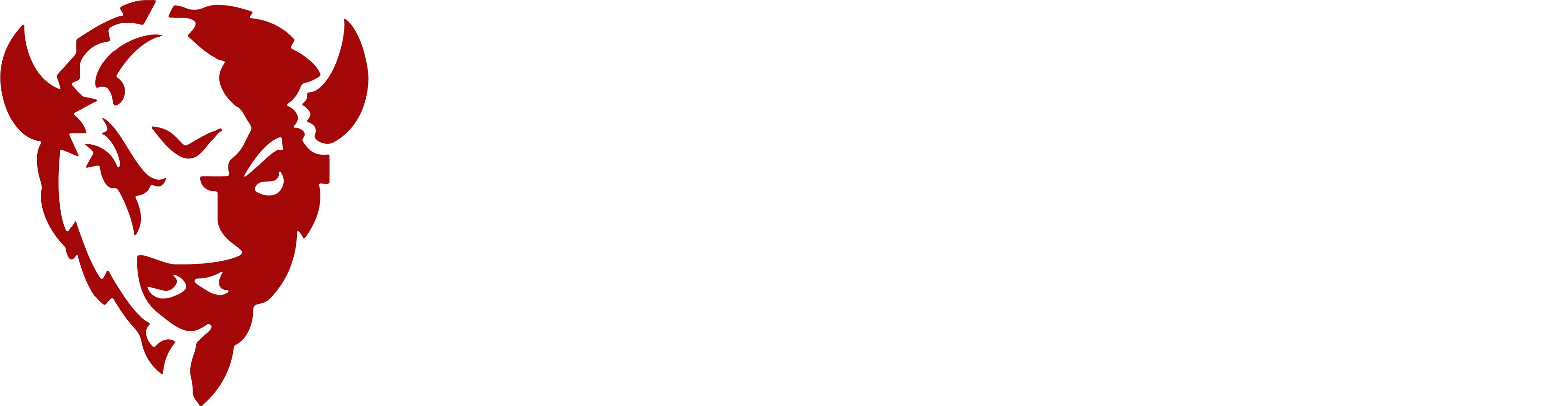 Official site of Red Auroch Inc.